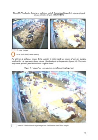 Figure 39 : Visualisation d’une vache sur la zone centrale d’une aire paillée par les 2 caméras situées à
                               chaque extrémité (d’après GIROUD 2007)




        : zone centrale

    : vache située dans la zone centrale

Par ailleurs, à certaines heures de la journée, le soleil rend les images d’une des caméras
inutilisables par des contre-jours ou une illumination trop importante (figure 40). Une autre
disposition pourrait peut-être atténuer ce phénomène.

                 Figure 40 : Image d’une caméra par un ensoleillement trop important




      : zone où l’ensoleillement ne permet pas une visualisation correcte des images



                                                                                                         96
 