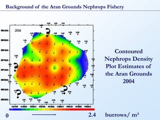0.00      0.00            0.00 0.18 1.27      1.06
                                                                                                                                                      1.31   0.95 0.78 0.79 0.00 0.00
                                                                                                                     5860000
                                                                                                                     Nephrops Density




 1.41                  1.30                                            0.00     0.00
                                                                                                                     the Aran Grounds




                                                             1.39
                                                                                                                     Plot Estimates of




                                                                                                                                0.00   1.20                        0.00 0.00 0.00
                                                                                                                                              1.30    1.77 2.02
                                                                                                                     5855000
                                                                                                                         Contoured




 0.00                                                        0.00      0.00
                                                                                                                                                                                                              burrows/ m²

                       0.00                                                                                                            0.00 0.00 0.00 0.00 0.00
                                                                                                                            2004




0 425000 430000 435000 440000 445000 450000                                                                                    410000 415000 420000 425000 430000 435000 440000 445000 450000 455000
           Background of the Aran Grounds Nephrops Fishery




    0.00                           0.00                         0.24              0.00
                                                                         0.14
                                                                                                                                                       0.00 0.00 0.00 0.00 0.00 0.00
    0.54                         0.38                           0.61     0.43 0.16        0.00                       5890000   2007            0.00 0.84 1.05 0.99 0.32       0.00 0.00 0.00




                                                                                                                                                                                                              2.4
                                                                                                                                                                                                             2.1
    0.64                          0.71                          1.01     0.99             0.43                                   0.00 0.00 0.00 0.80 1.18
                                                                                                    0.01      0.00   5885000                                       1.24 0.85 0.46 0.08 0.00 0.00             2
                                                                                   0.97
                                                                                                                                                                                                             1.9
                                                                                                                                                                                                             1.8
                                                                         0.69                                                    0.00 0.01 0.26 1.14 0.83 1.14
    0.76                             0.83 0.75                                    0.68    0.09 0.06           0.00                                             1.15 1.25 0.62            0.15 0.02 0.00      1.7
                                                                                                                     5880000
                                                                                                                                                                                                             1.6




                                                                                                                                                                        ?
                                                                                                                                 0.00 0.00 1.13 1.22         1.03 0.97 1.19 1.08 0.54                        1.5
    0.83                         0.76                           1.13                                                                                                                      0.10 0.12   0.00
                                                                         0.94     0.87    0.49 0.11           0.00                                                                                           1.4
                                                                                                                     5875000                                                                                 1.3
                                                                                                                                 0.00 0.71 0.97 0.92 0.96 1.21 1.08 1.09 0.86
                                                                                                                                     0.16                                     0.71 0.20 0.00                 1.2
    0.75                        0.90                            0.87                      0.83 0.28                                                                                                          1.1
                                                                                          ?
                                                                        0.86      0.91                        0.00
                                                                                                                     5870000                                                                                 1
                                                                                                                                0.001.04 0.86 1.09 0.87 1.15       1.04 1.10 1.03 1.12 0.61 0.05 0.00        0.9
                                0.79                           0.95     0.81      0.90              0.03                                                                                                     0.8
   0.61                                                                                   0.95                0.00
                                                                                                                     58650000.00 0.24 1.01 1.04 1.09 1.02 0.86                                               0.7
                                                                                                                                                               0.72 0.96 0.55 0.07 0.00 0.00                 0.6
    0.68                        0.75                           0.66     0.56     0.69     0.05     0.00                                                                                                      0.5
                                                                                                                                                                                                             0.4




                                                                                                                                                                              ?
                                                                                                                                0.00    1.28 1.22 1.00 1.16 1.53 1.44
                                                                                                                     5860000                                                  0.00 0.00 0.00




                                                                                                                                       ?
                                                                                                                                                                                                             0.3
    0.61                        0.73                           0.00     0.00     0.00
                                                                                                                                                                                                             0.2
                                                                                          0.00
                                                                                                                                       0.00 0.00 1.21        1.05 0.00 0.00                                  0.1




                                                                                                                                                                                                               0
                                                                                                                     5855000
 
