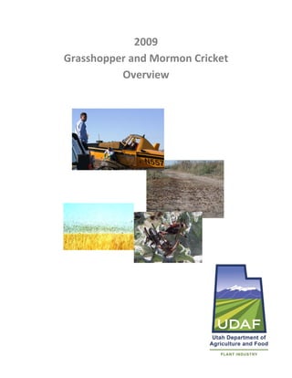 2009  
Grasshopper and Mormon Cricket  
          Overview 
                
                
                
                
                
                
                
                
            




                                   1 
 