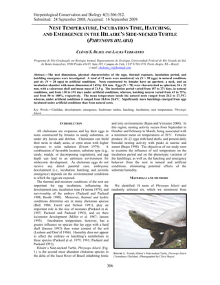 Herpetological Conservation and Biology 4(3):306-312.
Submitted: 24 September 2008; Accepted: 16 September 2009.

         NEST TEMPERATURE, INCUBATION TIME, HATCHING,
       AND EMERGENCE IN THE HILAIRE’S SIDE-NECKED TURTLE
                      (PHRYNOPS HILARII)

                                 CLÓVIS S. BUJES AND LAURA VERRASTRO

Programa de Pós-Graduação em Biologia Animal, Departamento de Zoologia, Universidade Federal do Rio Grande do Sul,
     Av Bento Gonçalves, 9500 Prédio 43435, Sala 105, Campus do Vale, CEP 91501-970. Porto Alegre, RS – Brazil,
                                         e-mail: chelonia_rs@hotmail.com

Abstract.—The nest dimensions, physical characteristics of the eggs, thermal exposure, incubation period, and
hatchling emergence were investigated. A total of 12 nests were monitored: six (N = 50 eggs) in natural conditions
and six (N = 28 eggs) in artificial conditions. Nests constructed by females have an aperture, a neck, and an
incubation chamber with mean dimension of 143 by 126 mm. Eggs (N = 78) were characterized as spherical, 34 x 32
mm, with a calcareous shell and mean mass of 21.5 g. The incubation period varied from 157 to 271 days, in natural
conditions, and from 130 to 191 days under artificial conditions; whereas, hatching success varied from 43 to 75%,
and from 50 to 100%, respectively. The mean temperature inside the natural nests ranged from 24.2 to 27.3°C;
whereas, under artificial conditions it ranged from 18.8 to 28.6°C. Significantly more hatchlings emerged from eggs
incubated under artificial conditions than from natural nests.

Key Words.—Chelidae; development; emergence; freshwater turtles; hatching; incubation; nest temperature; Phrynops
hilarii


                    INTRODUCTION                             and lotic environments (Bujes and Verrastro 2008). In
                                                             this region, nesting activity occurs from September to
   All chelonians are oviparous and lay their eggs in        October and February to March, being associated with
nests constructed by females in sandy substrates, or         a minimum mean air temperatures of 26°C. Females
under dry leaves and detritus. Chelonians can build          produce 10–22 eggs with hard shells, and present daily
their nests in shady areas, or open areas with higher        bimodal nesting activity with peaks at sunrise and
exposure to solar radiation (Ewert 1979).             A      sunset (Bujes 1998). The objectives of our study were
combination of favorable location, substrate type (e.g.,     to examine the influence of soil temperature on the
sandy, muddy, or decomposing vegetation), and egg            incubation period and on the phenotypic variation of
depth can lead to an optimum environment for                 the hatchlings; as well as, the hatching and emergence
embryonic development. As chelonian eggs do not              behavior from the nest in natural and artificial
receive any direct parental care, embryonic                  conditions, eliminating potential effects of the
development (i.e., incubation, hatching, and juvenile        substrate humidity.
emergence) depends on the environmental conditions
to which the eggs are exposed.                                         MATERIALS AND METHODS
   The thermal and moisture conditions of the nest are
important for egg incubation, influencing the             We identified 18 nests of Phrynops hilarii and
development rate, incubation time (Yntema 1978), and randomly selected six, which we monitored from
survivorship of the embryo (Packard and Packard
1988; Booth 1998). Moreover, thermal and hydric
conditions determine sex in many chelonian species
(Bull 1980; Ewert and Nelson 1991), play an
important role in the size of neonates (Packard et al.
1987; Packard and Packard 1993), and on their
locomotor development (Miller et al. 1987; Janzen
1995). Iincubation temperature, however, has a
greater influence on species that lay eggs with a hard
shell (Janzen 1993) than water content of the soil
(Leshem and Dmi’el 1986). Humidity does not appear
to affect the embryo or hatchling’s metabolism in
these species (Packard et al. 1979, 1981; Packard and
Packard 1991).
   Hilaire´s Side-necked Turtle, Phrynops hilarii (Fig.
1), is the second most abundant chelonian species in     FIGURE 1. Female Hilaire’s Side-necked Turtle, Phrynops hilarii
the delta of the Jacuí River of Brazil inhabiting lentic (Testudines, Chelidae). (Photographed by Clóvis Bujes)


                                                         306
 