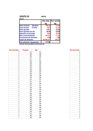GRUPO 28

INICIO

SALA 3

Por lote Por cerdo
kg
kg
Peso al Inicio
(50 dìas)
Peso al final
76 dìas
Peso ganado
Peso ganado por dia
Alimento consumido
Alim./consumido/día
Conversión de alimento
Costo de alimento

748.32
1527
778.7
29.95
1420
54.615
1.82
$8,946.00

$ de alimento / kg ganado
Inician 50 animales y terminan 50

No.Animales
1
1
1
1
1
1
1
1
1
1
1
1
1
1
1
1
1
1
1
1
1
1
1
1
1
1
1
1
1
1
1
1
1
1

Pesada

Kg.
31
38
39
31
31
30
39
34
32
32
35
34
38
34
31
31
32
31
34
32
37
36
33
34
35
32
36
36
35
34
34
31
30
30

31
38
39
31
31
30
39
34
32
32
35
34
38
34
31
31
32
31
34
32
37
36
33
34
35
32
36
36
35
34
34
31
30
30

15.59
31.81
16.22
0.624
29.58
1.138
1.82
186.38

11.49

No.Animales
1
1
1
1
1
1
1
1
1
1
1
1
1
1
1
1
1
1
1
1
1
1
1
1
1
1
1
1
1
1
1
1
1
1

 