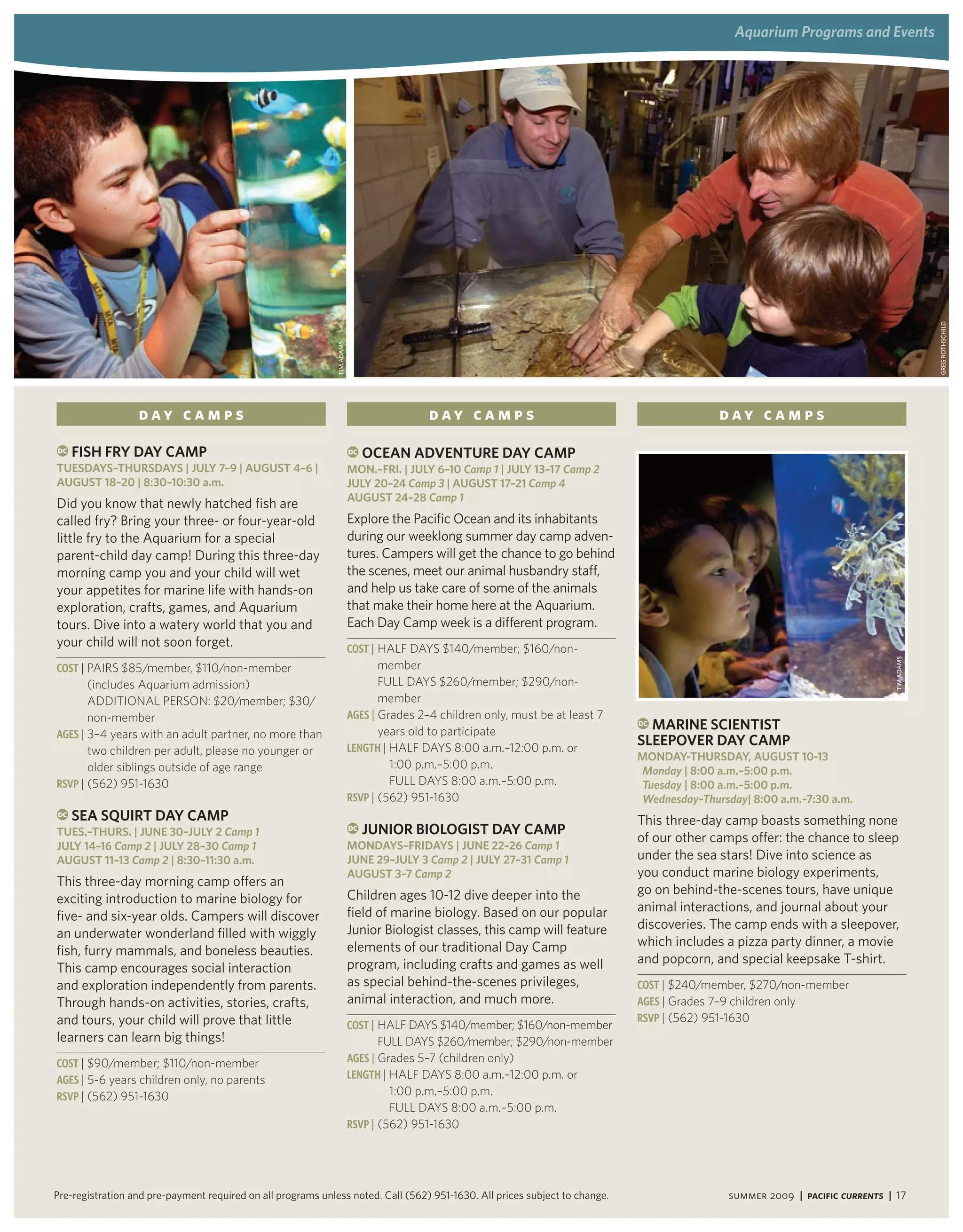 aquarium Programs and events




                                                                                                                                                                                            GReG RotHscHiLd
                                                              tim AdAms




                  Day Camps                                                               Day Camps                                           Day Camps
DC   FiSh Fry day CaMP                                                    DC   oCean adventUre day CaMP
tUeSdayS–thUrSdayS | JUly 7–9 | aUgUSt 4–6 |                              Mon.–Fri. | JUly 6–10 camp 1 | JUly 13–17 camp 2
aUgUSt 18–20 | 8:30–10:30 a.m.                                            JUly 20–24 camp 3 | aUgUSt 17–21 camp 4
                                                                          aUgUSt 24–28 camp 1
Did you know that newly hatched fish are
called fry? Bring your three- or four-year-old                            Explore the Pacific Ocean and its inhabitants
little fry to the Aquarium for a special                                  during our weeklong summer day camp adven-
parent-child day camp! During this three-day                              tures. Campers will get the chance to go behind
morning camp you and your child will wet                                  the scenes, meet our animal husbandry staff,
your appetites for marine life with hands-on                              and help us take care of some of the animals
exploration, crafts, games, and Aquarium                                  that make their home here at the Aquarium.
tours. Dive into a watery world that you and                              Each Day Camp week is a different program.
your child will not soon forget.                                          Cost | HAlF DAyS $140/member; $160/non-




                                                                                                                                                                                tim AdAms
Cost | PAIrS $85/member, $110/non-member                                         member
       (includes Aquarium admission)                                             Full DAyS $260/member; $290/non-
       ADDITIONAl PerSON: $20/member; $30/                                       member
       non-member                                                         aGes | grades 2–4 children only, must be at least 7
                                                                                                                                DC Marine SCientiSt
aGes | 3–4 years with an adult partner, no more than                             years old to participate
                                                                          LeNGtH | HAlF DAyS 8:00 a.m.–12:00 p.m. or
                                                                                                                                SleePover day CaMP
       two children per adult, please no younger or                                                                             Monday-thUrSday, aUgUSt 10-13
       older siblings outside of age range                                         1:00 p.m.–5:00 p.m.                          monday | 8:00 a.m.–5:00 p.m.
RsVP | (562) 951-1630                                                              Full DAyS 8:00 a.m.–5:00 p.m.                tuesday | 8:00 a.m.–5:00 p.m.
                                                                          RsVP | (562) 951-1630                                 Wednesday–thursday| 8:00 a.m.–7:30 a.m.
DC   Sea SqUirt day CaMP                                                                                                        This three-day camp boasts something none
tUeS.–thUrS. | JUne 30–JUly 2 camp 1                                      DC   JUnior BiologiSt day CaMP
                                                                                                                                of our other camps offer: the chance to sleep
JUly 14–16 camp 2 | JUly 28–30 camp 1                                     MondayS–FridayS | JUne 22–26 camp 1
aUgUSt 11–13 camp 2 | 8:30–11:30 a.m.                                     JUne 29–JUly 3 camp 2 | JUly 27–31 camp 1             under the sea stars! Dive into science as
                                                                          aUgUSt 3–7 camp 2                                     you conduct marine biology experiments,
This three-day morning camp offers an
                                                                          Children ages 10-12 dive deeper into the              go on behind-the-scenes tours, have unique
exciting introduction to marine biology for
                                                                          field of marine biology. Based on our popular         animal interactions, and journal about your
five- and six-year olds. Campers will discover
                                                                          Junior Biologist classes, this camp will feature      discoveries. The camp ends with a sleepover,
an underwater wonderland filled with wiggly
                                                                          elements of our traditional Day Camp                  which includes a pizza party dinner, a movie
fish, furry mammals, and boneless beauties.
                                                                          program, including crafts and games as well           and popcorn, and special keepsake T-shirt.
This camp encourages social interaction
and exploration independently from parents.                               as special behind-the-scenes privileges,              Cost | $240/member, $270/non-member
Through hands-on activities, stories, crafts,                             animal interaction, and much more.                    aGes | grades 7–9 children only
and tours, your child will prove that little                                                                                    RsVP | (562) 951-1630
                                                                          Cost | HAlF DAyS $140/member; $160/non-member
learners can learn big things!                                                  Full DAyS $260/member; $290/non-member
Cost | $90/member; $110/non-member                                        aGes | grades 5–7 (children only)
aGes | 5-6 years children only, no parents                                LeNGtH | HAlF DAyS 8:00 a.m.–12:00 p.m. or
RsVP | (562) 951-1630                                                              1:00 p.m.–5:00 p.m.
                                                                                   Full DAyS 8:00 a.m.–5:00 p.m.
                                                                          RsVP | (562) 951-1630




Pre-registration and pre-payment required on all programs unless noted. Call (562) 951-1630. All prices subject to change.                      summer 2009 | Pacific Currents | 17
 