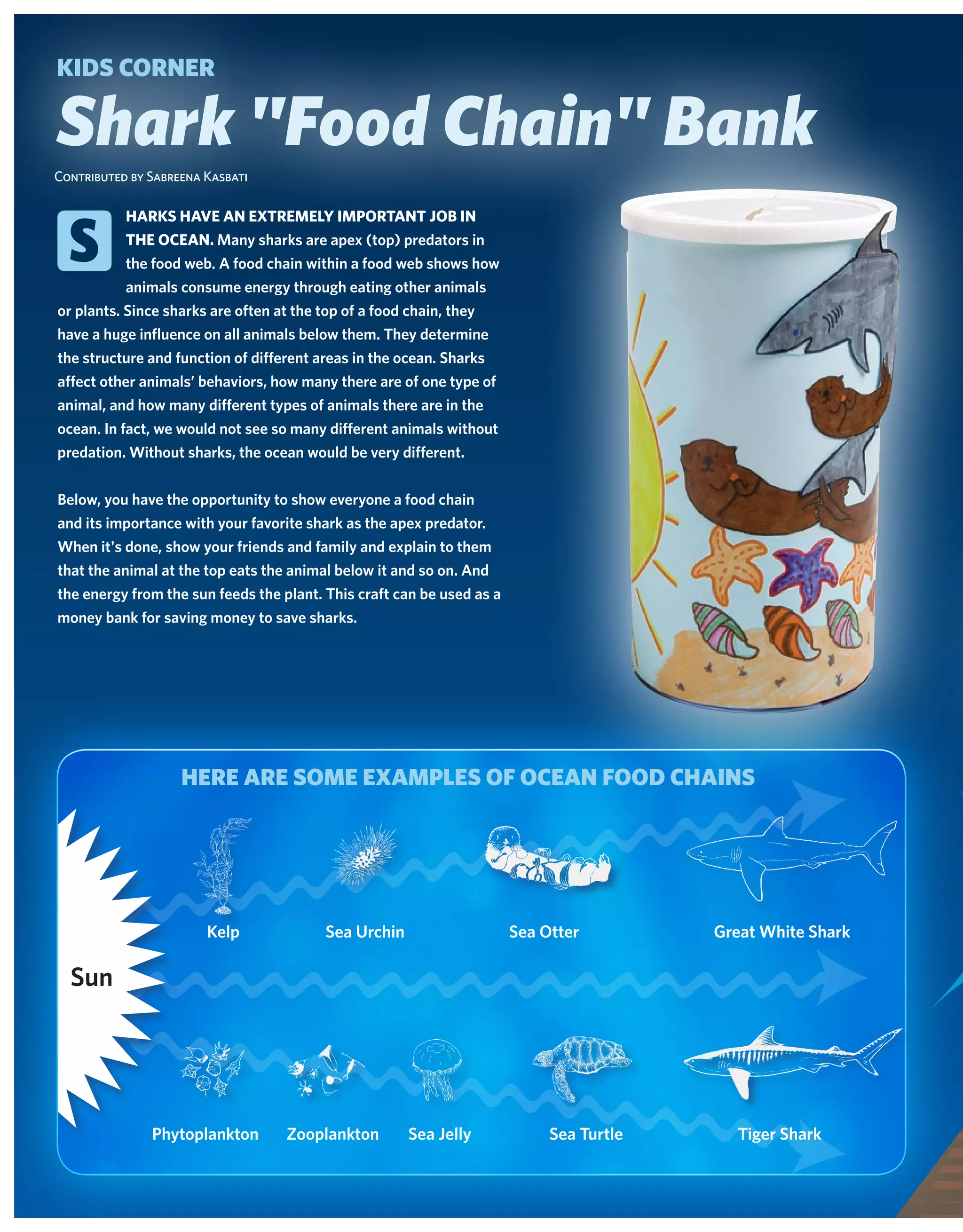 KIDs CORneR

Shark "Food Chain" Bank
contributed by sabreena Kasbati




  S
           harks havE an ExTrEmEly imPorTanT job in
           ThE oCEan. Many sharks are apex (top) predators in
           the food web. a food chain within a food web shows how
           animals consume energy through eating other animals
or plants. Since sharks are often at the top of a food chain, they
have a huge influence on all animals below them. they determine
the structure and function of different areas in the ocean. Sharks
affect other animals’ behaviors, how many there are of one type of
animal, and how many different types of animals there are in the
ocean. in fact, we would not see so many different animals without
predation. without sharks, the ocean would be very different.


Below, you have the opportunity to show everyone a food chain
and its importance with your favorite shark as the apex predator.
when it's done, show your friends and family and explain to them
that the animal at the top eats the animal below it and so on. and
the energy from the sun feeds the plant. this craft can be used as a
money bank for saving money to save sharks.




                    heRe aRe sOme examples Of OCean fOOD ChaIns




   Sun                  Kelp             Sea Urchin                    Sea otter         great white Shark

  Sun




               Phytoplankton       zooplankton        Sea Jelly             Sea turtle     tiger Shark
 
