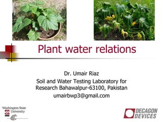 Plant water relations
Dr. Umair Riaz
Soil and Water Testing Laboratory for
Research Bahawalpur-63100, Pakistan
umairbwp3@gmail.com
 