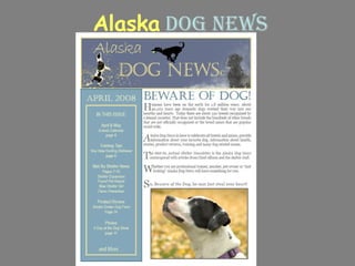Alaska   Dog news 