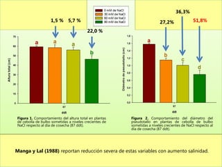 36,3%
                   1,5 % 5,7 %                                           27,2%               51,8%

                                         22,0 %




Figura 1. Comportamiento del altura total en plantas    Figura 2. Comportamiento del diámetro del
de cebolla de bulbo sometidas a niveles crecientes de   pseudotallo en plantas de cebolla de bulbo
NaCl respecto al día de cosecha (87 ddt).               sometidas a niveles crecientes de NaCl respecto al
                                                        día de cosecha (87 ddt).




Manga y Lal (1988) reportan reducción severa de estas variables con aumento salinidad.
 