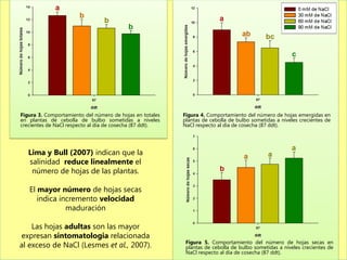 Figura 3. Comportamiento del número de hojas en totales   Figura 4. Comportamiento del número de hojas emergidas en
en plantas de cebolla de bulbo sometidas a niveles        plantas de cebolla de bulbo sometidas a niveles crecientes de
crecientes de NaCl respecto al día de cosecha (87 ddt).   NaCl respecto al día de cosecha (87 ddt).




   Lima y Bull (2007) indican que la
   salinidad reduce linealmente el
    número de hojas de las plantas.

   El mayor número de hojas secas
      indica incremento velocidad
               maduración

    Las hojas adultas son las mayor
expresan sintomatologia relacionada
                                                           Figura 5. Comportamiento del número de hojas secas en
al exceso de NaCl (Lesmes et al., 2007).                   plantas de cebolla de bulbo sometidas a niveles crecientes de
                                                           NaCl respecto al día de cosecha (87 ddt).
 