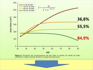 36,8%
                                                                                  55,5%

                                                                                  84,9%


Figura 6. Simulación del comportamiento del área foliar en plantas de cebolla de bulbo
sometidas a niveles crecientes de NaCl a lo largo del experimento.
 