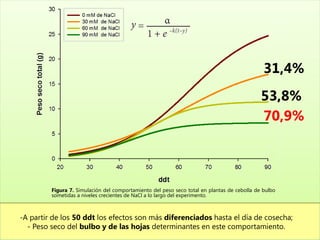 31,4%
                                                                                             53,8%
                                                                                             70,9%




         Figura 7. Simulación del comportamiento del peso seco total en plantas de cebolla de bulbo
         sometidas a niveles crecientes de NaCl a lo largo del experimento.



-A partir de los 50 ddt los efectos son más diferenciados hasta el día de cosecha;
  - Peso seco del bulbo y de las hojas determinantes en este comportamiento.
 