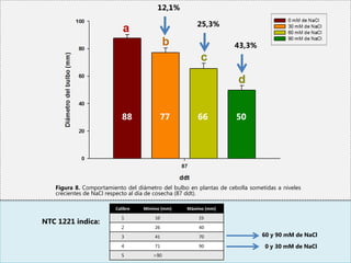 12,1%

                                                      25,3%

                                                                   43,3%




                           88           77            66            50




   Figura 8. Comportamiento del diámetro del bulbo en plantas de cebolla sometidas a niveles
   crecientes de NaCl respecto al día de cosecha (87 ddt).

                        Calibre   Mínimo (mm)     Máximo (mm)
                          1            10              25
NTC 1221 indica:
                          2            26              40
                          3            41              70                    60 y 90 mM de NaCl
                          4            71              90                      0 y 30 mM de NaCl
                          5           >90
 
