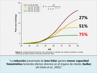 27%
                                                                                           51%
                                                                                           75%


       Figura 9. Comportamiento del peso seco del bulbo en plantas de cebolla sometidas a niveles
       crecientes de NaCl respecto al día de cosecha (87 ddt).



  “La reducción presentada de área foliar genera menor capacidad
fotosintética teniendo efectos directos en el órgano de interés (bulbo)
                        (Al-Harbi et al., 2002).”
 
