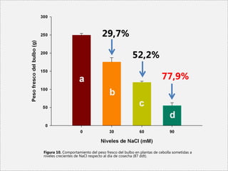 29,7%

                                                  52,2%

                                                                   77,9%




Figura 10. Comportamiento del peso fresco del bulbo en plantas de cebolla sometidas a
niveles crecientes de NaCl respecto al día de cosecha (87 ddt).
 