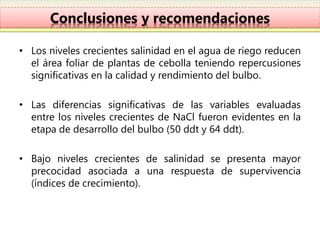 Conclusiones y recomendaciones

• Los niveles crecientes salinidad en el agua de riego reducen
  el área foliar de plantas de cebolla teniendo repercusiones
  significativas en la calidad y rendimiento del bulbo.

• Las diferencias significativas de las variables evaluadas
  entre los niveles crecientes de NaCl fueron evidentes en la
  etapa de desarrollo del bulbo (50 ddt y 64 ddt).

• Bajo niveles crecientes de salinidad se presenta mayor
  precocidad asociada a una respuesta de supervivencia
  (índices de crecimiento).
 