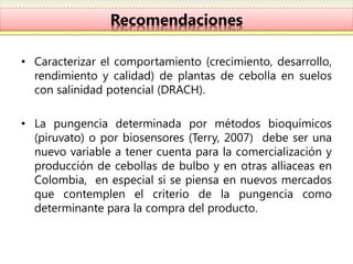 Recomendaciones

• Caracterizar el comportamiento (crecimiento, desarrollo,
  rendimiento y calidad) de plantas de cebolla en suelos
  con salinidad potencial (DRACH).

• La pungencia determinada por métodos bioquímicos
  (piruvato) o por biosensores (Terry, 2007) debe ser una
  nuevo variable a tener cuenta para la comercialización y
  producción de cebollas de bulbo y en otras alliaceas en
  Colombia, en especial si se piensa en nuevos mercados
  que contemplen el criterio de la pungencia como
  determinante para la compra del producto.
 