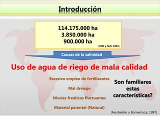 Introducción

              114.175.000 ha
               3.850.000 ha
                900.000 ha
                                    (WRI y FAO, 2003)


                Causas de la salinidad


Uso de agua de riego de mala calidad
          Excesivo empleo de fertilizantes
                                               Son familiares
                    Mal drenaje                     estas
           Niveles freáticos fluctuantes
                                               características?

            Material parental (Natural)
                                              (Fassbeider y Bornemuza, 1987).
 