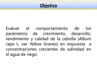 Objetivo




Evaluar   el     comportamiento    de    los
parámetros de crecimiento, desarrollo,
rendimiento y calidad de la cebolla (Allium
cepa L. var. Yellow Granex) en respuesta a
concentraciones crecientes de salinidad en
el agua de riego.
 