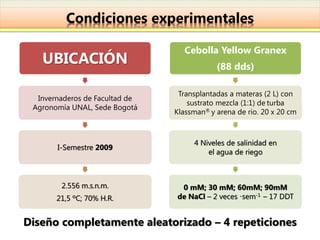 Condiciones experimentales

                                  Cebolla Yellow Granex
   UBICACIÓN                                (88 dds)

                                 Transplantadas a materas (2 L) con
  Invernaderos de Facultad de
                                    sustrato mezcla (1:1) de turba
 Agronomía UNAL, Sede Bogotá
                                Klassman® y arena de rio. 20 x 20 cm



                                     4 Niveles de salinidad en
       I-Semestre 2009
                                         el agua de riego



        2.556 m.s.n.m.           0 mM; 30 mM; 60mM; 90mM
       21,5 ºC; 70% H.R.        de NaCl – 2 veces ·sem-1 – 17 DDT


Diseño completamente aleatorizado – 4 repeticiones
 