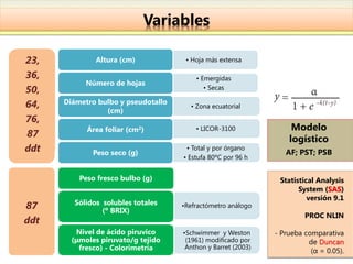 Variables

23,           Altura (cm)             • Hoja más extensa

36,                                      • Emergidas
            Número de hojas
50,                                         • Secas

64,   Diámetro bulbo y pseudotallo
                                       • Zona ecuatorial
                 (cm)
76,
            Área foliar (cm2)            • LICOR-3100               Modelo
87
                                                                   logístico
ddt           Peso seco (g)
                                      • Total y por órgano
                                                                  AF; PST; PSB
                                     • Estufa 80ºC por 96 h


          Peso fresco bulbo (g)                                 Statistical Analysis
                                                                      System (SAS)
                                                                         versión 9.1
        Sólidos solubles totales
87              (º BRIX)
                                     •Refractómetro análogo
                                                                        PROC NLIN
ddt
         Nivel de ácido piruvico     •Schwimmer y Weston       - Prueba comparativa
        (μmoles piruvato/g tejido     (1961) modificado por              de Duncan
          fresco) - Colorimetría      Anthon y Barret (2003)
                                                                          (α = 0.05).
 