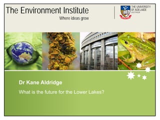The Environment Institute
                     Where ideas grow




   Dr Kane Aldridge
   What is the future for the Lower Lakes?
 