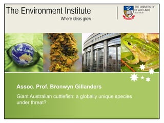 The Environment Institute
                       Where ideas grow




   Assoc. Prof. Bronwyn Gillanders
   Giant Australian cuttlefish: a globally unique species
   under threat?
 