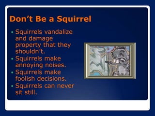 HOW TO STAY ON THE GOOD SIDE OF COACH TOMESShow Up.Behave. Try.  Be nice.Be a Seminoles, not a Squirrel. Seminoles would hunt and eat squirrels.