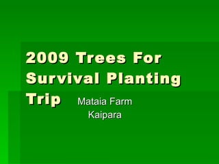 2009 Trees For Survival Planting Trip Mataia Farm Kaipara 