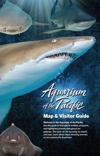 Map & Visitor Guide
Welcome to the Aquarium of the Paciﬁc.
Use this guide to ﬁnd special exhibits, programs,
and highlighted animals throughout our
galleries. This year we are focusing on sharks
and rays. Learn about these amazing animals
as you explore the Aquarium.
 