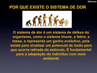 O sistema de dor é um sistema de defesa do
organismo, como o sistema imune, a febre, a
tosse, e representa um ganho evolutivo, pois
existe para sinalizar um potencial de lesão para
que ocorra retirada do estímulo. É fundamental
para a adaptação do indivíduo com meio
ambiente
POR QUE EXISTE O SISTEMA DE DOR
Whanata
Whanata
 