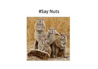 #Say	
  Nuts	
  
 