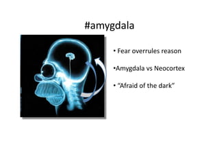 #amygdala	
  

       • 	
  Fear	
  overrules	
  reason	
  

       • Amygdala	
  vs	
  Neocortex	
  	
  

       • 	
  “Afraid	
  of	
  the	
  dark”	
  	
  
 