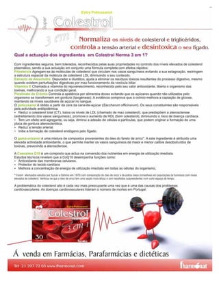 DESTAK – Lisboa – 14.05.2008