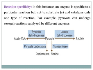 Reaction Specificity Example 200L Enzymology MBBS2.pptx- Enzyme and its Kinetics | PPTX