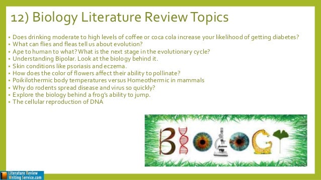 Literature review example australia image