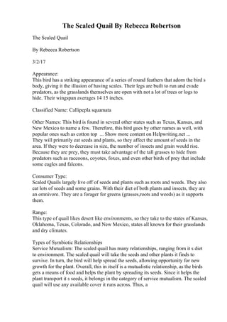 The Scaled Quail By Rebecca Robertson
The Scaled Quail
By Rebecca Robertson
3/2/17
Appearance:
This bird has a striking appearance of a series of round feathers that adorn the bird s
body, giving it the illusion of having scales. Their legs are built to run and evade
predators, as the grasslands themselves are open with not a lot of trees or logs to
hide. Their wingspan averages 14 15 inches.
Classified Name: Callipepla squamata
Other Names: This bird is found in several other states such as Texas, Kansas, and
New Mexico to name a few. Therefore, this bird goes by other names as well, with
popular ones such as cotton top ... Show more content on Helpwriting.net ...
They will primarily eat seeds and plants, so they affect the amount of seeds in the
area. If they were to decrease in size, the number of insects and grain would rise.
Because they are prey, they must take advantage of the tall grasses to hide from
predators such as raccoons, coyotes, foxes, and even other birds of prey that include
some eagles and falcons.
Consumer Type:
Scaled Quails largely live off of seeds and plants such as roots and weeds. They also
eat lots of seeds and some grains. With their diet of both plants and insects, they are
an omnivore. They are a forager for greens (grasses,roots and weeds) as it supports
them.
Range:
This type of quail likes desert like environments, so they take to the states of Kansas,
Oklahoma, Texas, Colorado, and New Mexico, states all known for their grasslands
and dry climates.
Types of Symbiotic Relationships
Service Mutualism: The scaled quail has many relationships, ranging from it s diet
to environment. The scaled quail will take the seeds and other plants it finds to
survive. In turn, the bird will help spread the seeds, allowing opportunity for new
growth for the plant. Overall, this in itself is a mutualistic relationship, as the birds
gets a means of food and helps the plant by spreading its seeds. Since it helps the
plant transport it s seeds, it belongs in the category of service mutualism. The scaled
quail will use any available cover it runs across. Thus, a
 
