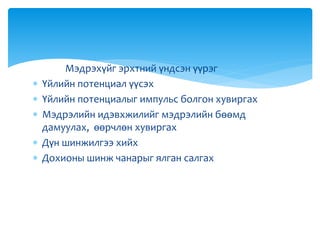 Мэдрэхүйг эрхтний үндсэн үүрэг
 Үйлийн потенциал үүсэх
 Үйлийн потенциалыг импульс болгон хувиргах
 Мэдрэлийн идэвхжилийг мэдрэлийн бөөмд
дамуулах, өөрчлөн хувиргах
 Дүн шинжилгээ хийх
 Дохионы шинж чанарыг ялган салгах
 