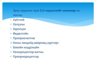 Эрүү нүүрнээс ирж буй мэдээллийг шинжээр нь:
 Амтны
 Хүйтний
 Халууны
 Хүрэлцэх
 Өвдөлтийн
 Проприочептив
Амны хөндийд өвөрмөц үүргээр:
 Биеийн мэдрэхүйн
 Хеморецептор-амтны
 Проприорецептор
 