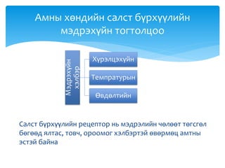 Салст бүрхүүлийн рецептор нь мэдрэлийн чөлөөт төгсгөл
бөгөөд ялтас, товч, ороомог хэлбэртэй өвөрмөц амтны
эстэй байна
Амны хөндийн салст бүрхүүлийн
мэдрэхүйн тогтолцоо
Мэдрэхүйн
хэлбэр
Хүрэлцэхүйн
Темпратурын
Өвдөлтийн
 