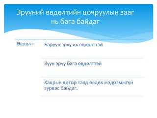 Өвдөлт Баруун эрүү их өвдөлттэй
Зүүн эрүү бага өвдөлттэй
Хацрын дотор талд өвдөх мэдрэмжгүй
зурвас байдаг.
Эрүүний өвдөлтийн цочруулын зааг
нь бага байдаг
 