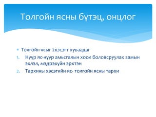  Толгойн ясыг 2хэсэгт хуваадаг
1. Нүүр яс-нүүр амьсгалын хоол боловсруулах замын
эхлэл, мэдрэхүйн эрхтэн
2. Тархины хэсэгийн яс- толгойн ясны тархи
Толгойн ясны бүтэц, онцлог
 