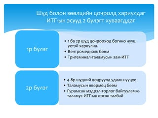 • 1 ба 2р шүд цочрооход богино нууц
үетэй хариулна.
• Вентромедиаль бөөм
• Тригеминал-таламусын зам-ИТГ
1р бүлэг
• 4-8р шүдний цоцруулд удаан нууцүе
• Таламусын өвөрмөц бөөм
• Гурамсан мэдрэл-торлог байгууламж-
таламус-ИТГ-ын өргөн талбай
2р бүлэг
Шүд болон зөөлцийн цочролд хариулдаг
ИТГ-ын эсүүд 2 бүлэгт хуваагддаг
 