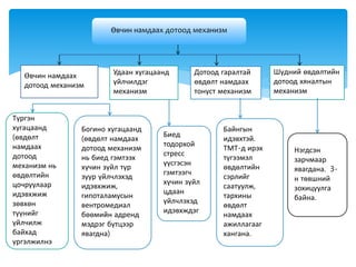 Өвчин намдаах
дотоод механизм
Дотоод гаралтай
өвдөлт намдаах
тонуст механизм
Өвчин намдаах дотоод механизм
Түргэн
хугацаанд
(өвдөлт
намдаах
дотоод
механизм нь
өвдөлтийн
цочруулаар
идэвхжиж
зөвхөн
түүнийг
үйлчилж
байхад
үргэлжилнэ
Богино хугацаанд
(өвдөлт намдаах
дотоод механизм
нь биед гэмтээх
хүчин зүйл түр
зуур үйлчлэхэд
идэвхжиж,
гипоталамусын
вентромедиал
бөөмийн адренд
мэдрэг бүтцээр
явагдна)
Биед
тодорхой
стресс
үүсгэсэн
гэмтээгч
хүчин зүйл
цдаан
үйлчлэхэд
идэвхждэг
Байнгын
идэвхтэй.
ТМТ-д ирэх
түгээмэл
өвдөлтийн
сэрлийг
саатуулж,
тархины
өвдөлт
намдаах
ажиллагааг
хангана.
Нэгдсэн
зарчмаар
явагдана. 3-
н төвшний
зохицуулга
байна.
Удаан хугацаанд
үйлчилдэг
механизм
Шүдний өвдөлтийн
дотоод хяналтын
механизм
 