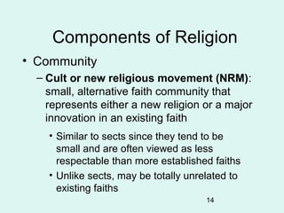 14
Components of Religion
• Community
– Cult or new religious movement (NRM):
small, alternative faith community that
repr...