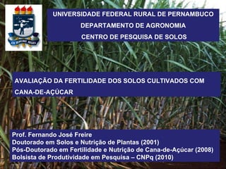 UNIVERSIDADE FEDERAL RURAL DE PERNAMBUCO DEPARTAMENTO DE AGRONOMIA CENTRO DE PESQUISA DE SOLOS AVALIAÇÃO DA FERTILIDADE DOS SOLOS CULTIVADOS COM CANA-DE-AÇÚCAR Prof. Fernando José Freire Doutorado em Solos e Nutrição de Plantas (2001) Pós-Doutorado em Fertilidade e Nutrição de Cana-de-Açúcar (2008) Bolsista de Produtividade em Pesquisa – CNPq (2010) 