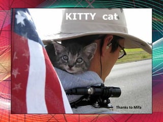 Free Powerpoint Templates KITTY  cat  Thanks to Mifa   