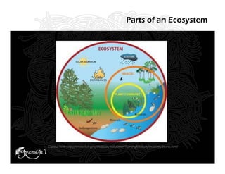 Parts of an Ecosystem




Copied from http://www.fws.gov/invasives/volunteersTrainingModule/invasives/plants.html
 