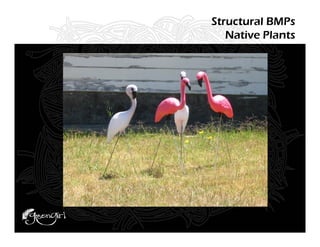 Structural BMPs
   Native Plants
 