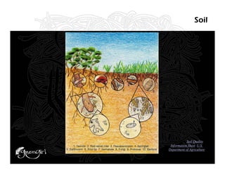 Soil




 Image from Soil Quality
 Information Sheet, U.S.
Department of Agriculture
 