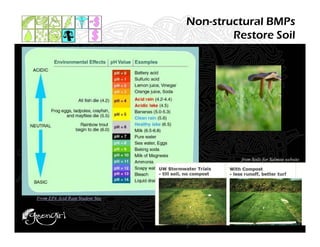Non-structural BMPs
                                          Restore Soil




                                            from Soils for Salmon website




From EPA Acid Rain Student Site
 