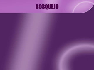 BOSQUEJO
 