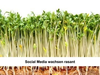Social Media wachsen rasant
Clever + Smart Public Relations
www.caspr.de                                                    Clever and Smart
Seite 12                                                        Public Relations
 